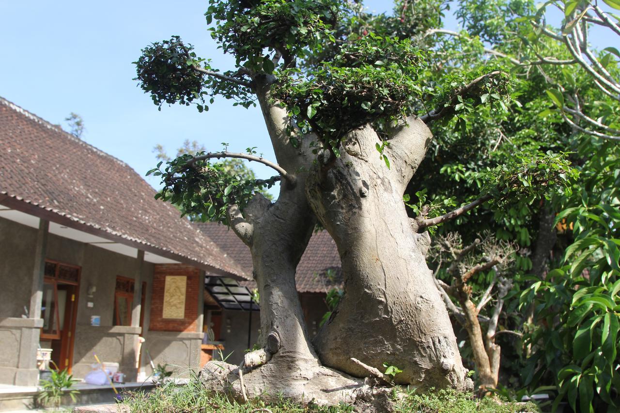 Jerogadung House Otel Ubud Dış mekan fotoğraf