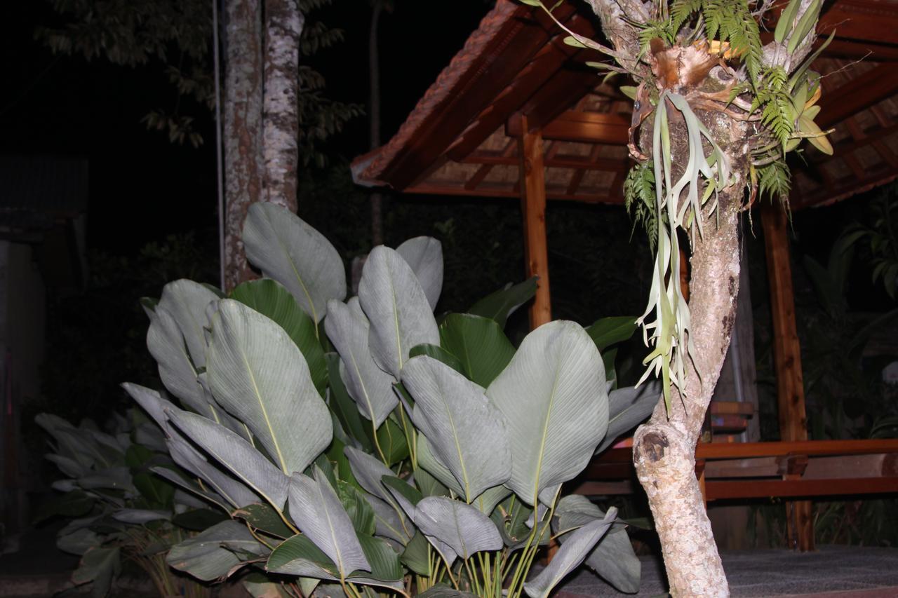 Jerogadung House Otel Ubud Dış mekan fotoğraf
